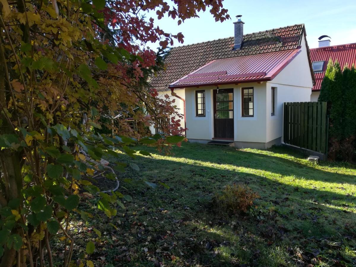 Chaloupka Nad Zelivkou Villa Hnevkovice Bagian luar foto